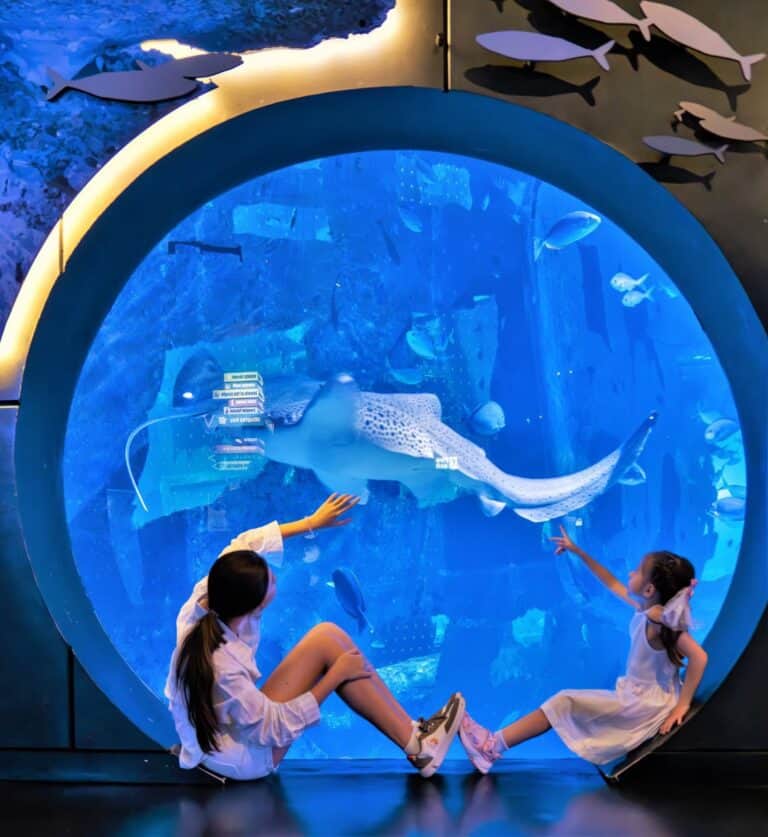 436121226_783602110535592_9039749270920575236_n