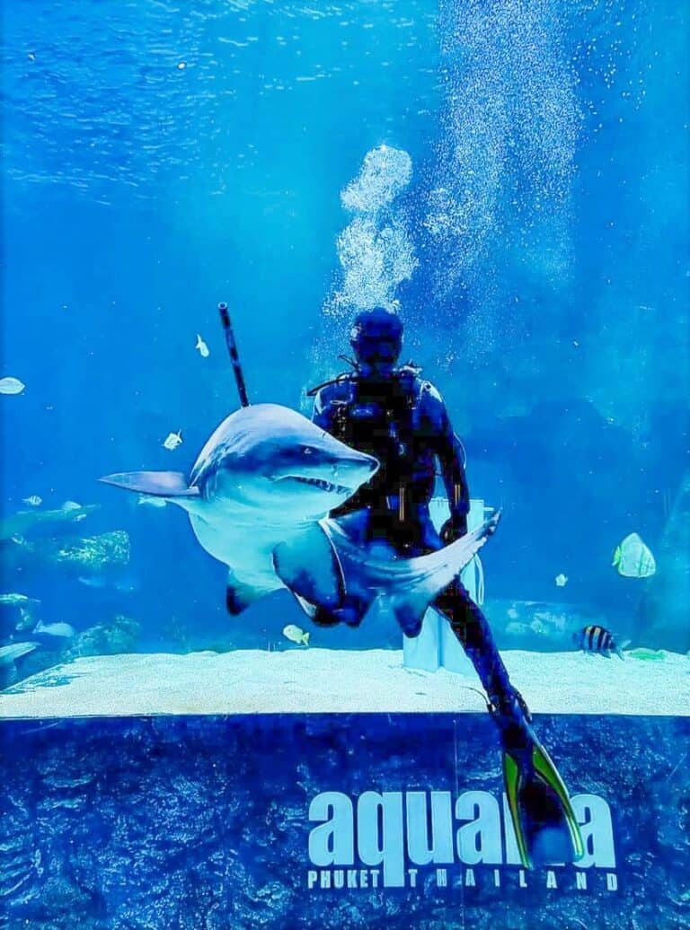 442506415_810038694558600_715844571259141348_n