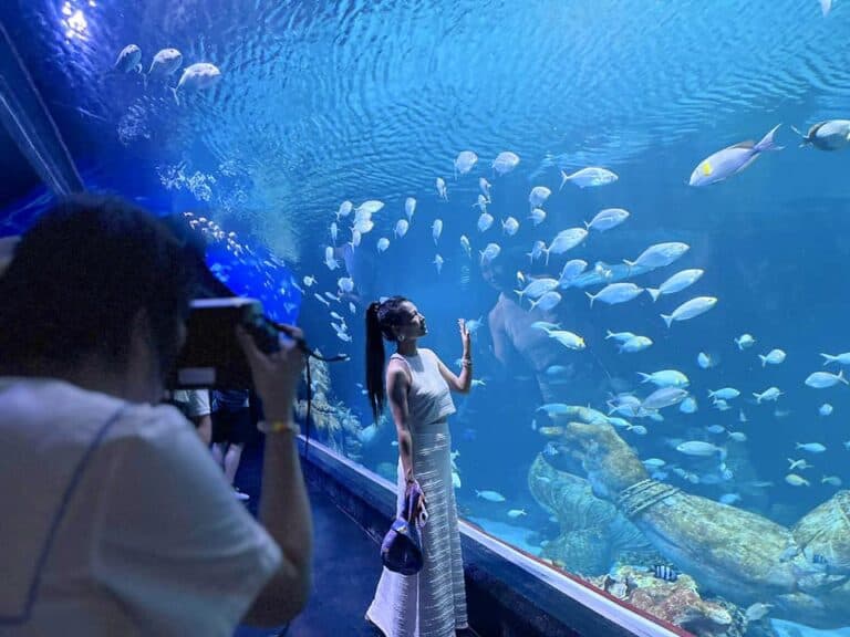 452512797_843842864511516_7245796396468275979_n