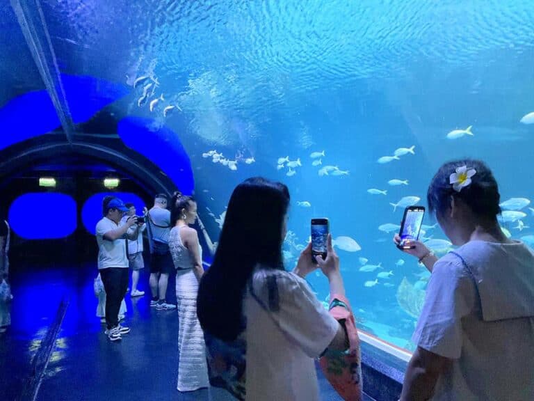 452662562_843842824511520_5787285829773555378_n