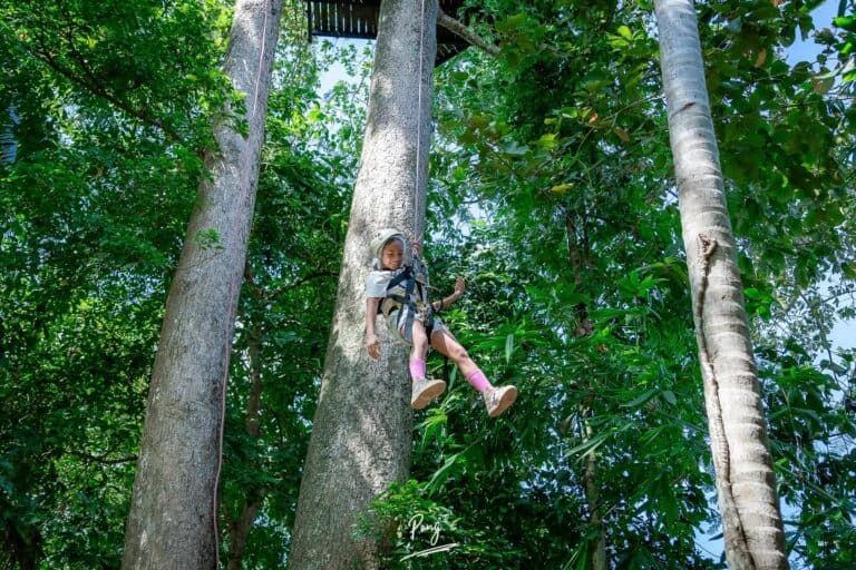 485754185_973868198265588_5888445130572483079_n