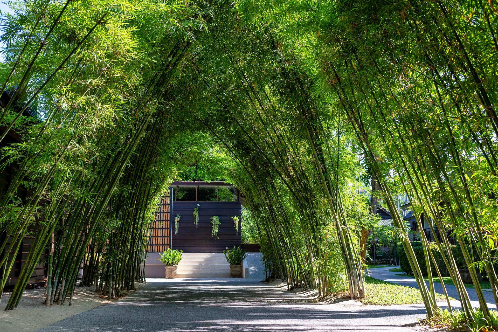 NH_Collection_Samui_Peace_Resort_Official_Gallery_063