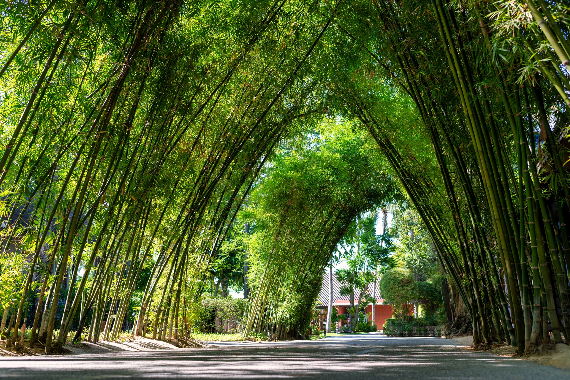 NH_Collection_Samui_Peace_Resort_Official_Gallery_064