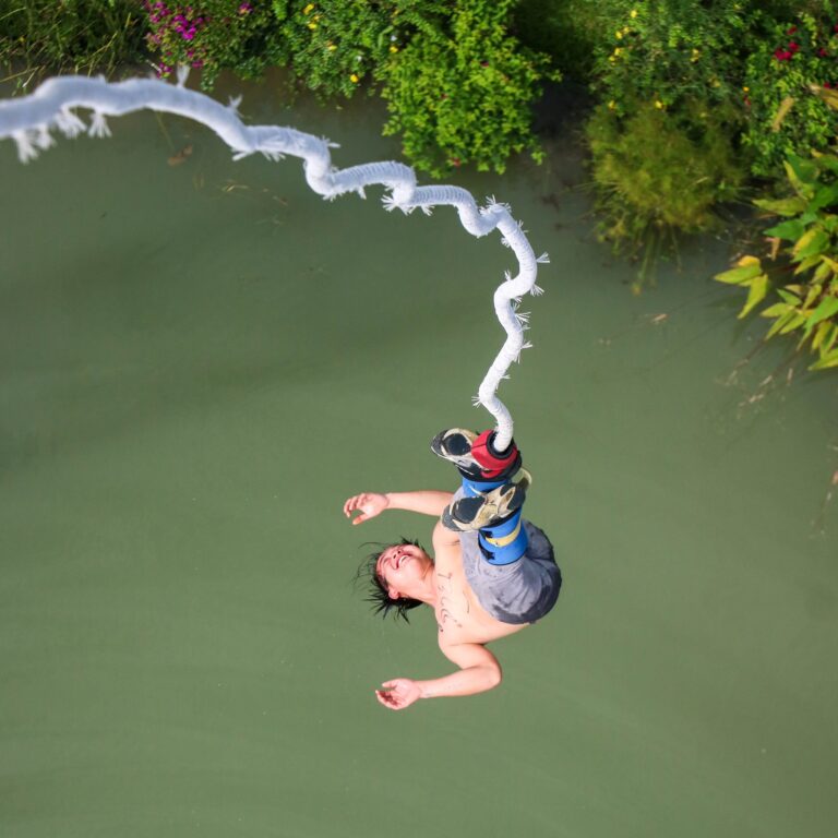 491923744_1237685948363477_8302569664625717775_n