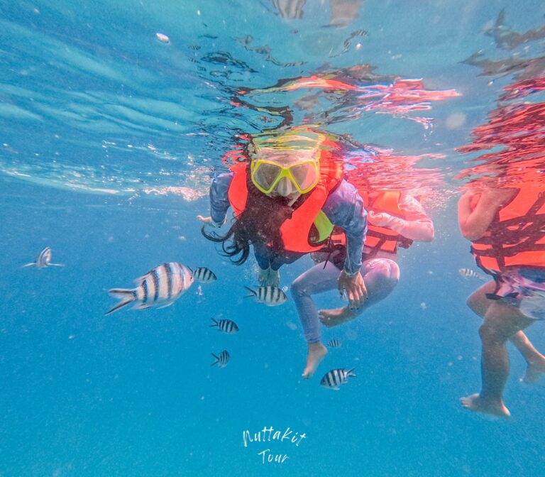 499302439_122167753412555387_6378931966517107041_n