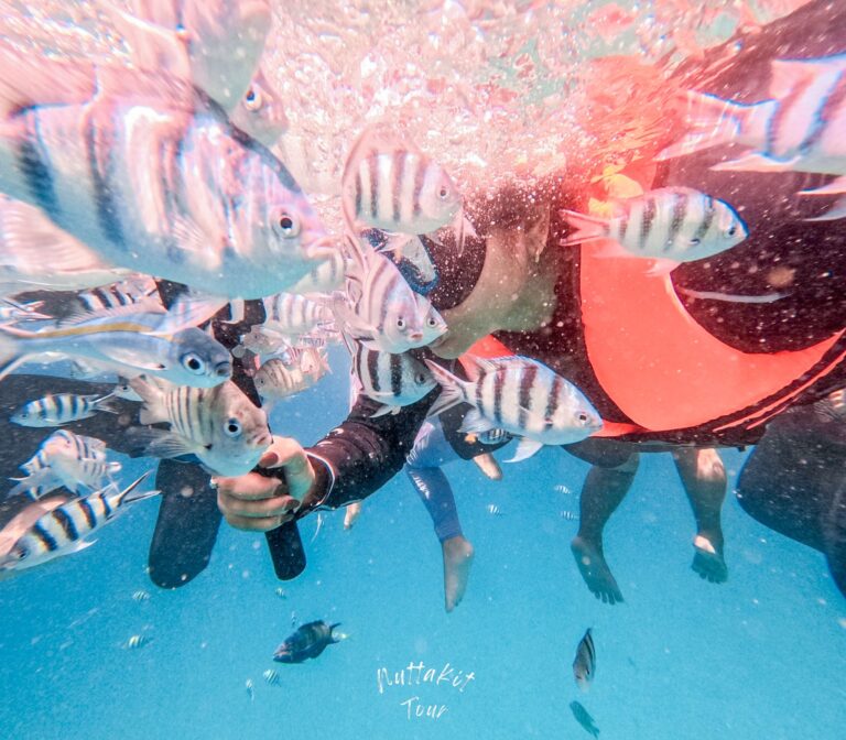 499664595_122167749308555387_275433973818796338_n