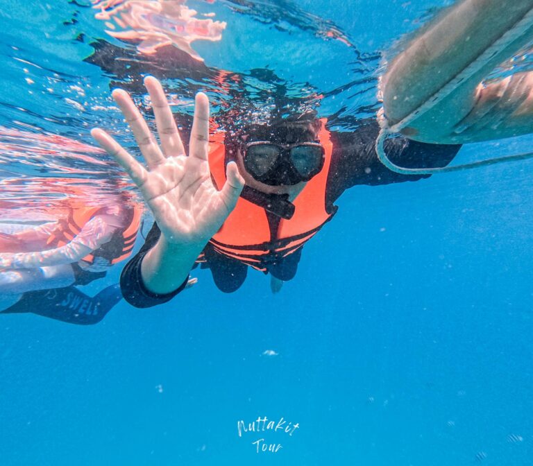 499854780_122167753106555387_6261916684955826340_n