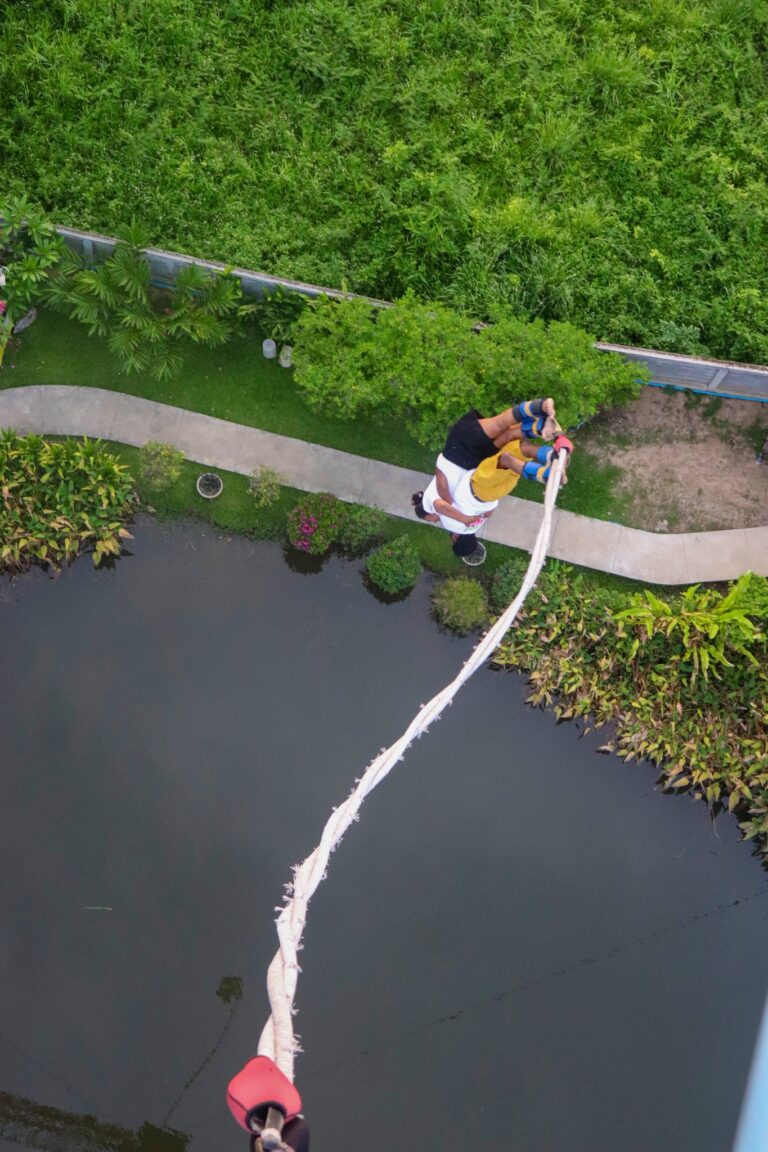 500146958_1260412532757485_2881021149043066175_n