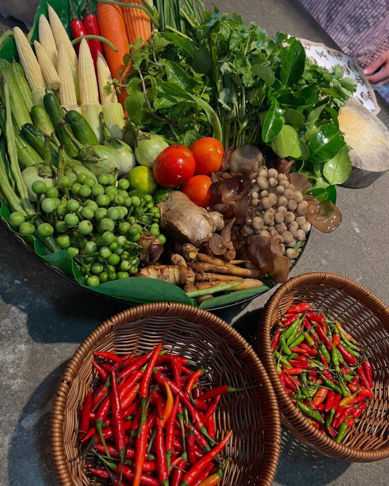 502083160_18394308007112588_2359637901954716026_n