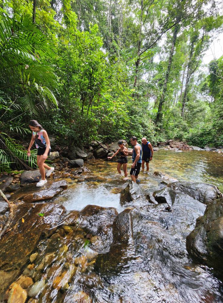 503665282_1428266818317074_1145443245220155149_n