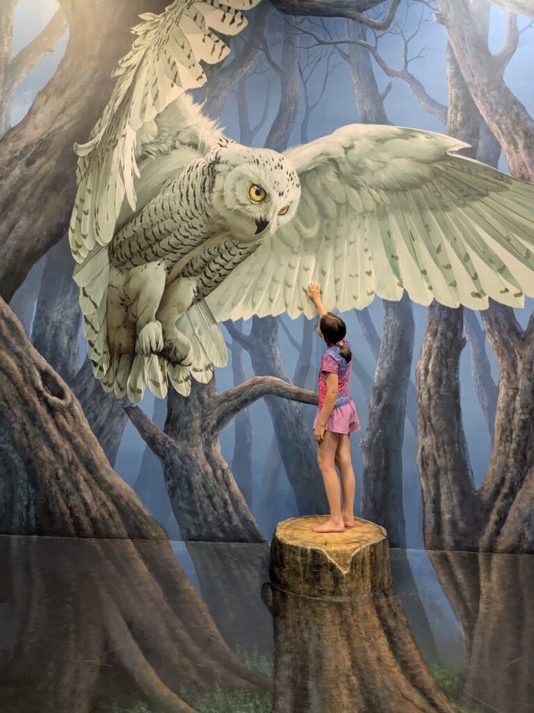 548551114_1289917369837689_4669940721107903136_n