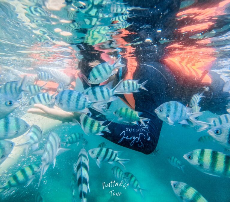 558151853_122193434102555387_8277917670695351253_n