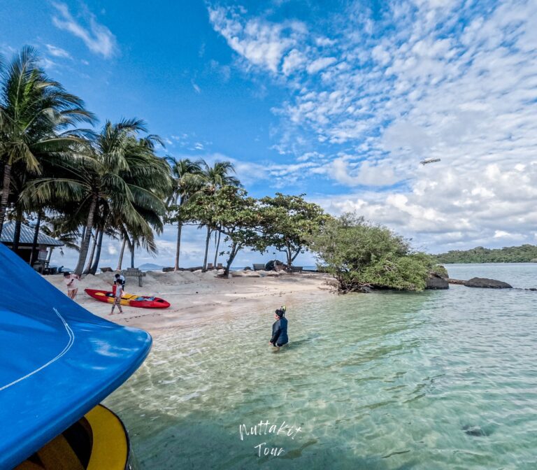 558512737_122192658266555387_6176837363377106300_n