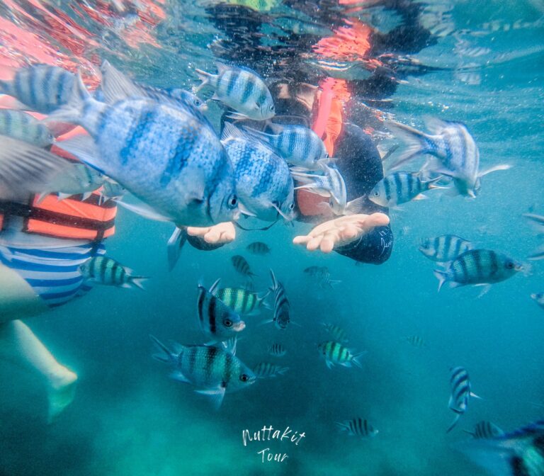 558766599_122193434000555387_7614017367359232947_n