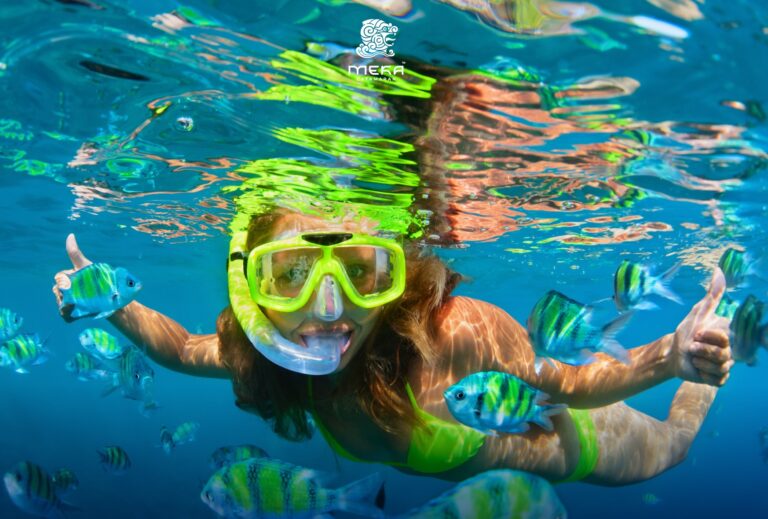 474826359_122205488666231353_8539018208449990215_n