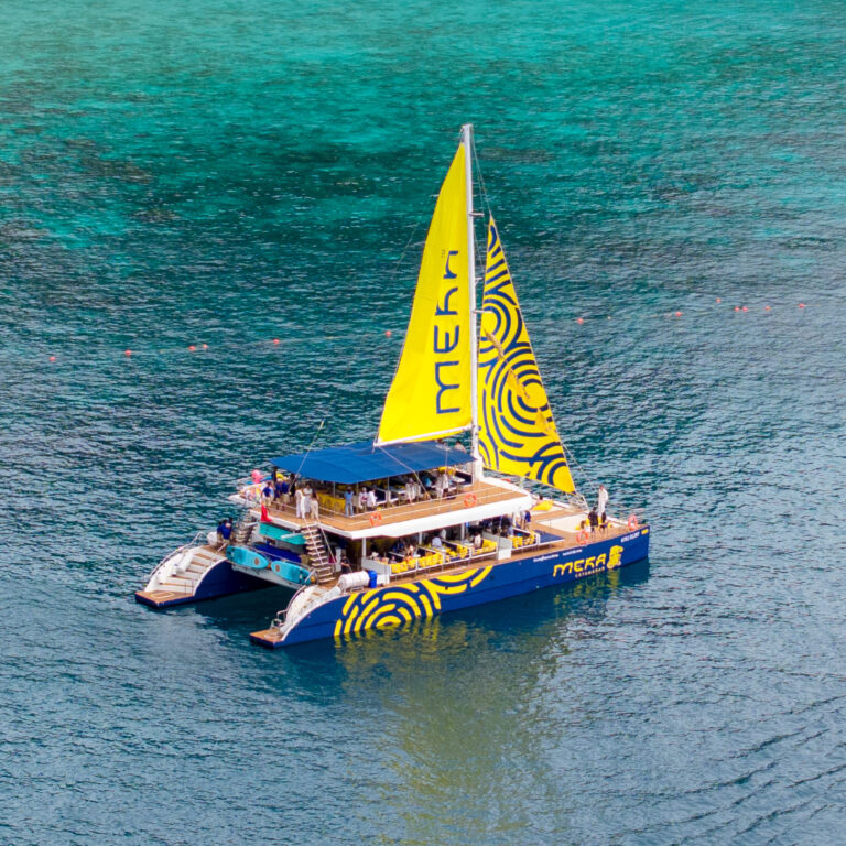 495541119_122233826882231353_5503907548247149990_n