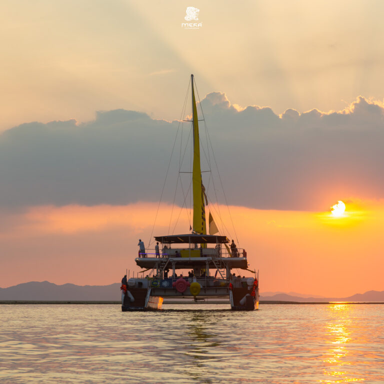 518276696_122248784192231353_4316671194985673722_n