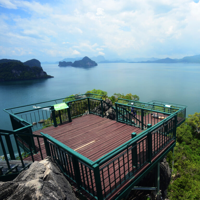 571183067_122269369562231353_8123926824320990443_n