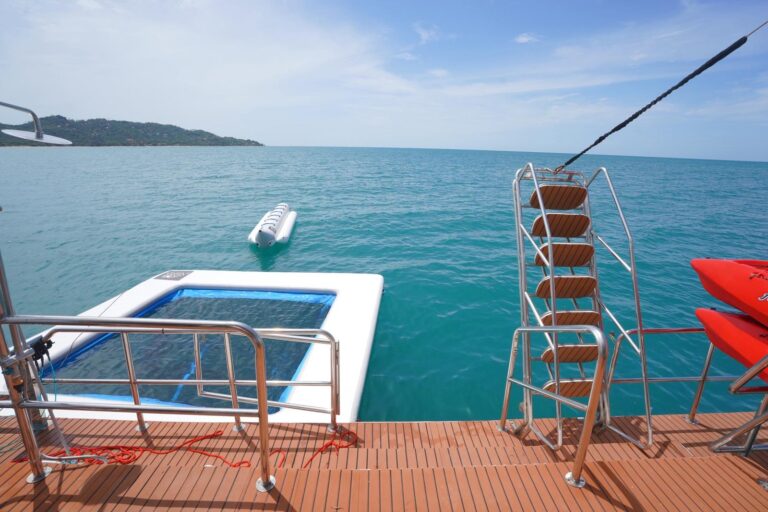 WhatsApp Image 2025-11-09 at 2.22.23 PM