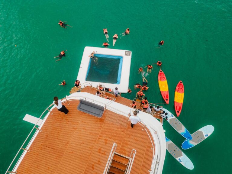 WhatsApp Image 2025-11-09 at 2.22.24 PM (1)